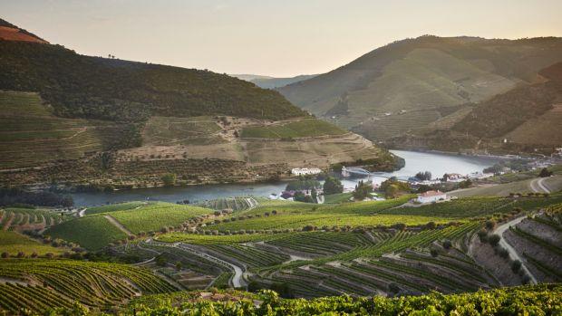 Quinta do Bomfim (Symington Family Estates)